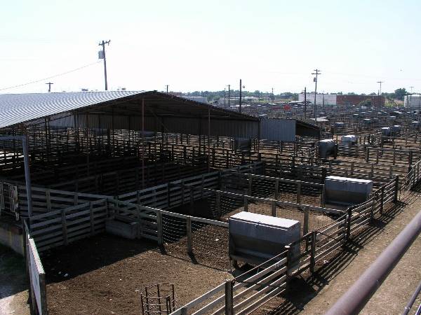 Oklahoma City Stockyards (2/9/2009)