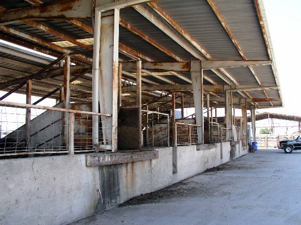 Oklahoma City Stockyards (2/9/2009)