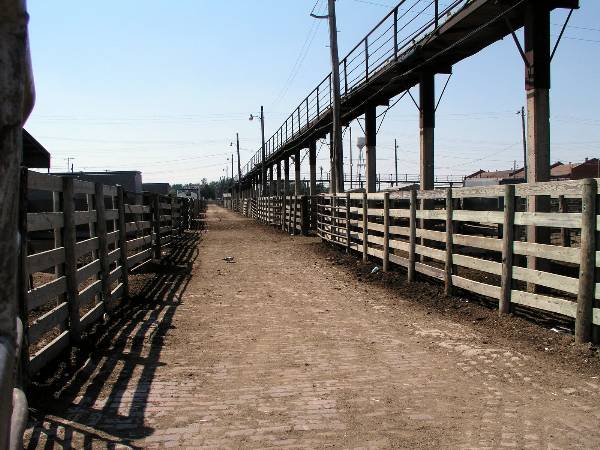 Oklahoma City Stockyards (2/9/2009)