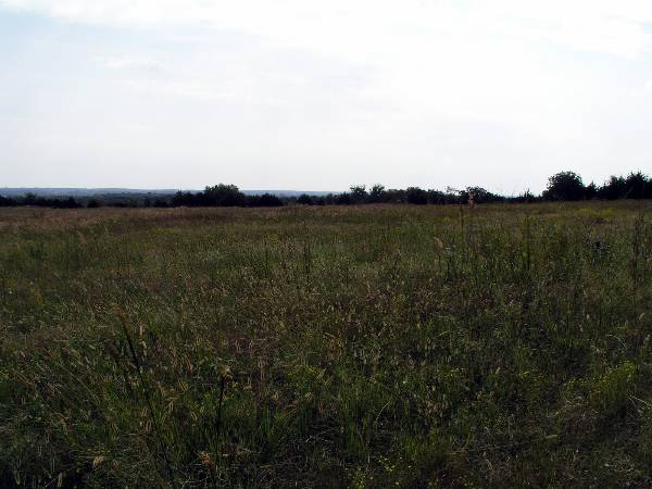 Tatanka Ranch (2/11/2009)