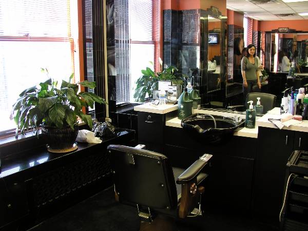 The Barber Salon (2/11/2009)