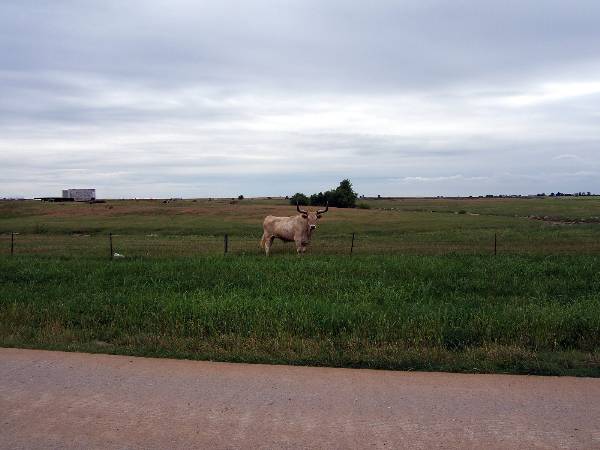 Route 66- El Reno (2/11/2009)
