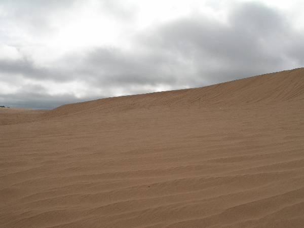 Little Sahara State Park (3/18/2009)
