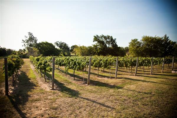 Ingel's Winery (2/26/2014 - Credits: Oklahoma Tourism - TravelOK)