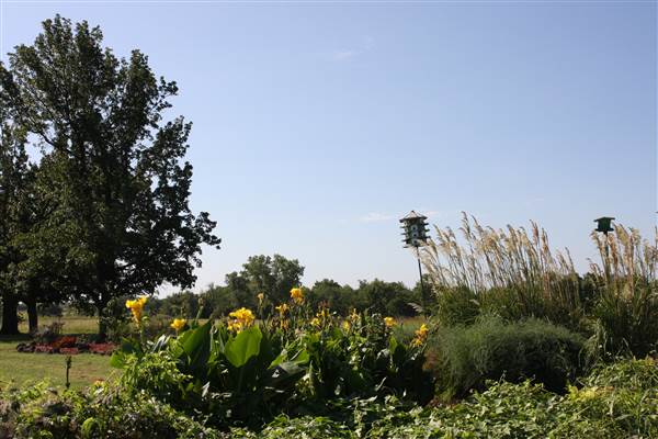 Silvertop Farm & Vineyards (9/9/2014)