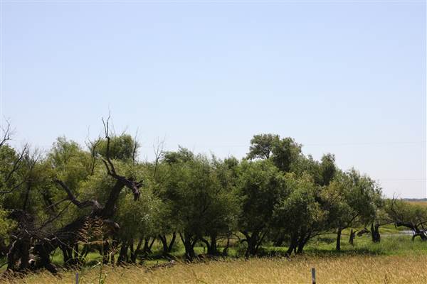 Silvertop Farm & Vineyards (9/9/2014)