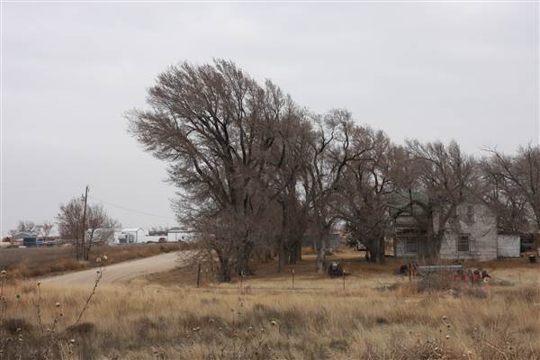 Stout House (12/18/2014 - Credits: Yousef Kazemi)