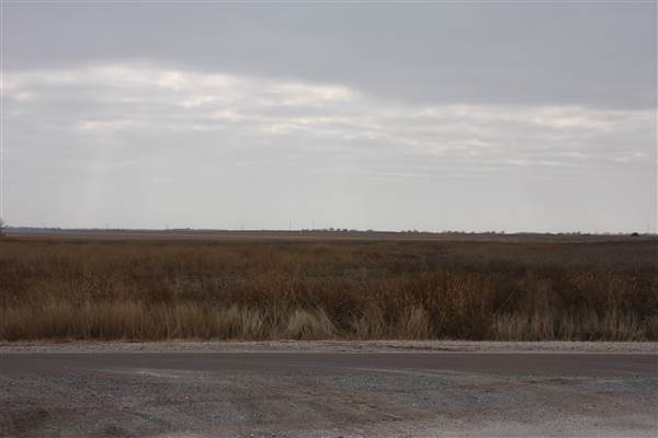 Nightmare in the Country - Kenton Ranch (12/10/2014 - Credits: Yousef Kazemi)