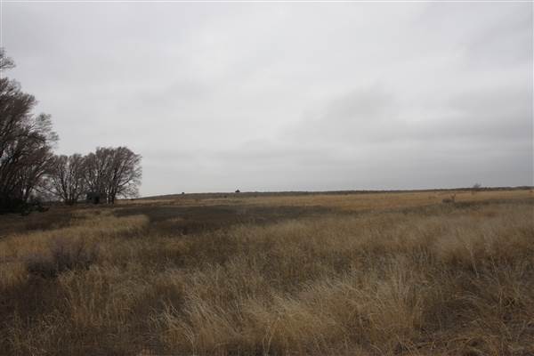 Nightmare in the Country - Kenton Ranch (12/10/2014 - Credits: Yousef Kazemi)