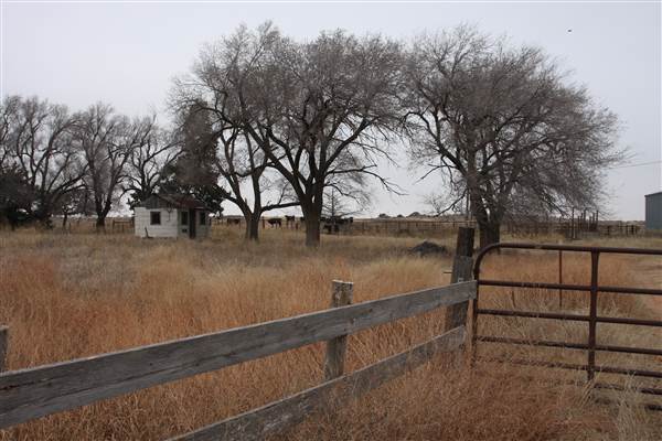 Old Barn and Farmhouse - EW 32 (12/10/2014 - Credits: Yousef Kazemi)