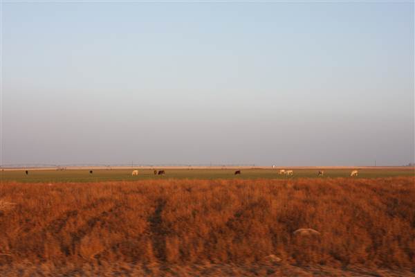 Hwy 412/36 - Guymon Area (12/11/2014 - Credits: Yousef Kazemi)