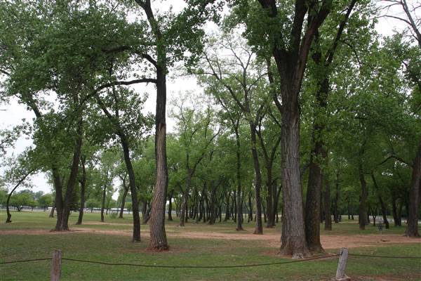 Dolese Youth Park (4/24/2015 - Credits: Yousef Kazemi)