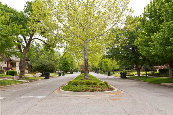 Mesta Park Historical Neighborhood (4/30/2015 - Credits: Layne Inselman)