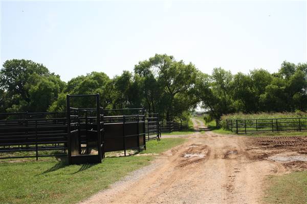 NFL Farms (7/2/2015 - Credits: Yousef Kazemi)