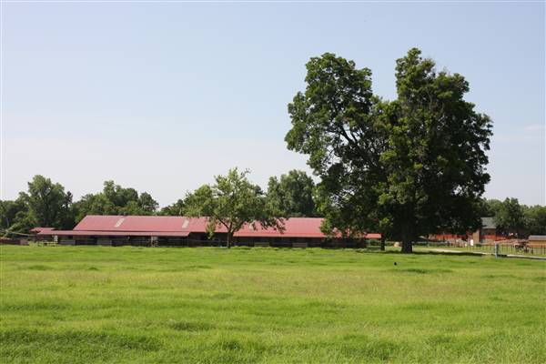 NFL Farms - Another huge area of stables located west of the offices/houses/main pens across the old polo field, but I wasn't able to photograph as there were unsecured watch dogs. Can photograph at a later date (7/2/2015 - Credits: Yousef Kazemi)
