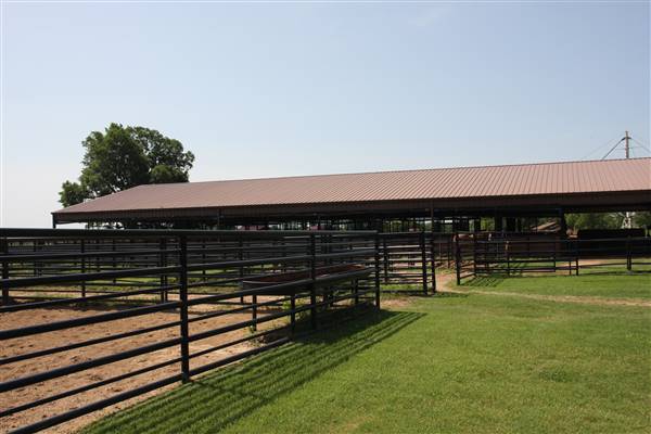 NFL Farms (7/2/2015 - Credits: Yousef Kazemi)