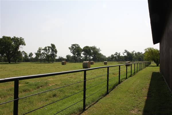 NFL Farms (7/2/2015 - Credits: Yousef Kazemi)