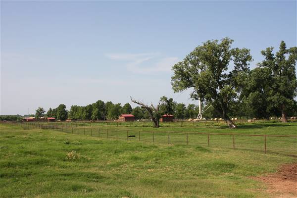 NFL Farms (7/2/2015 - Credits: Yousef Kazemi)