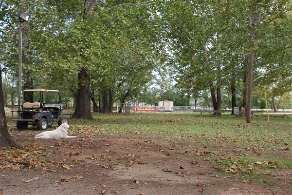 Camp DaKaNi (10/20/2017 - Credits: Christa Whetstone (intern))