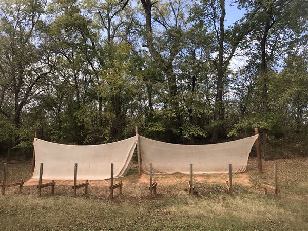 Camp DaKaNi (10/20/2017 - Credits: Yousef Kazemi)