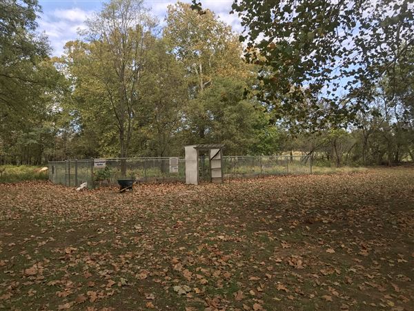 Camp DaKaNi (10/20/2017 - Credits: Yousef Kazemi)