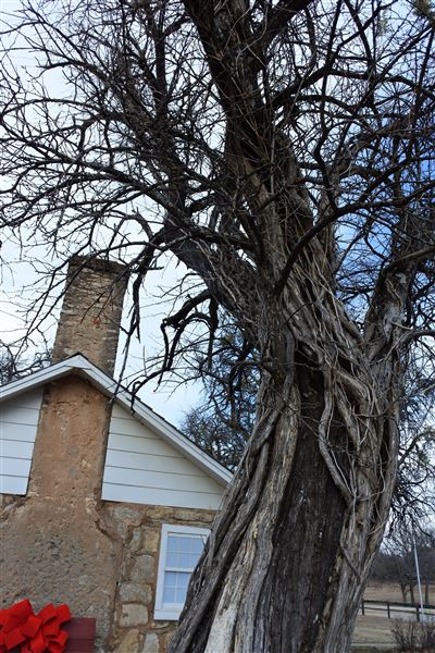 Fort Washita (12/23/2017 - Credits: Tyler Slawson)