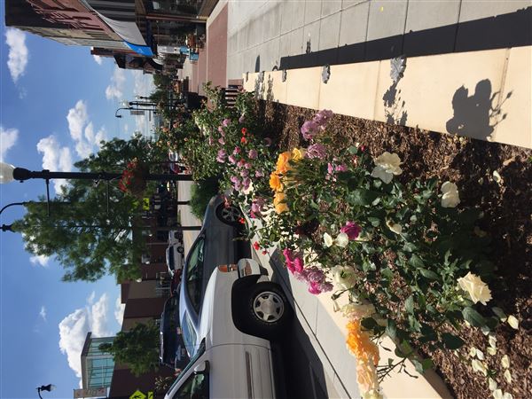 Downtown Broken Arrow (7/12/2018 - Credits: Rose District (Flickr))