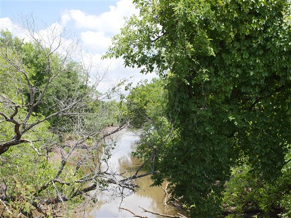 Stinchcomb Wildlife Refuge (7/31/2018 - Credits: Noah Janoe)