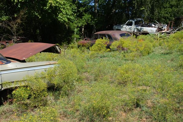 R & D Salvage (9/27/2019 - Credits: Tyler Slawson)