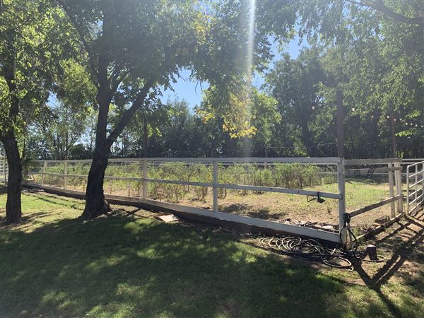 Blose Barn and Garden (9/28/2020 - Credits: Yousef Kazemi)