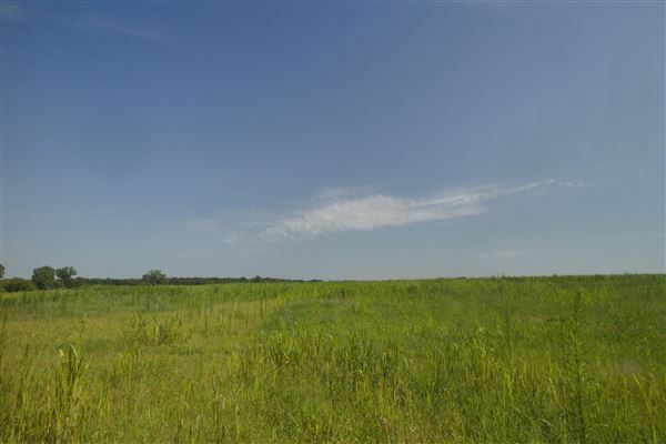 Rydell Ranch - field 1 - deciduous forest land and gentle rolling sandy farm land near a river bed (7/28/2021 - Credits: Jeffrey Rydell)