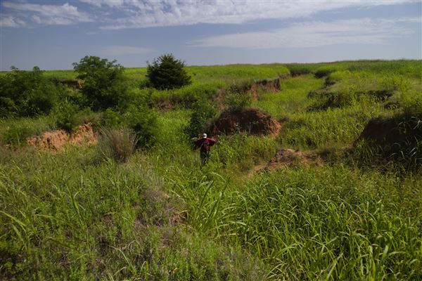 Rydell Ranch - field 1 - deciduous forest land and gentle rolling sandy farm land near a river bed (7/28/2021 - Credits: Jeffrey Rydell)