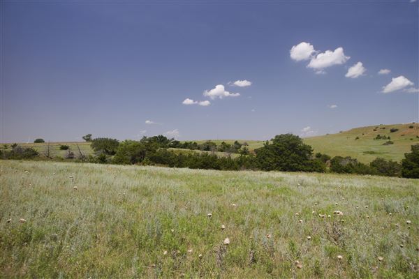 Rydell Ranch - field 2 - 2 mounds with 100' deep "red rock" canyons in between  visibility of up to 30 miles from the top of the mound Covered in mostly in eastern red cedar and some oak trees with native grasses. features slot canyons and waterfalls.  (7/28/2021 - Credits: Jeffrey Rydell)