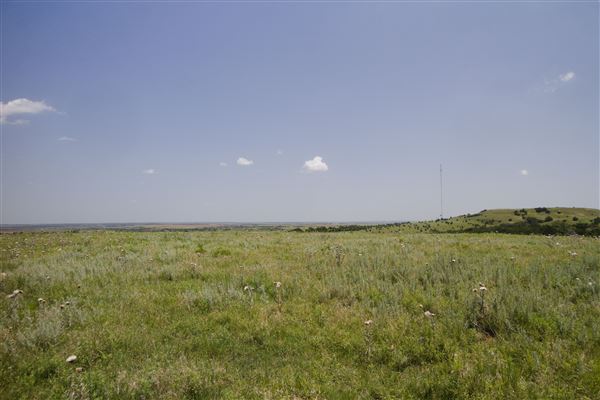 Rydell Ranch - field 2 - 2 mounds with 100' deep "red rock" canyons in between  visibility of up to 30 miles from the top of the mound Covered in mostly in eastern red cedar and some oak trees with native grasses. features slot canyons and waterfalls.  (7/28/2021 - Credits: Jeffrey Rydell)