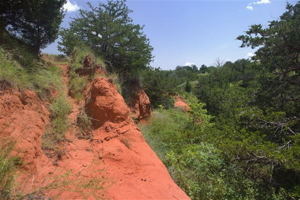 Rydell Ranch - field 2 - 2 mounds with 100' deep "red rock" canyons in between  visibility of up to 30 miles from the top of the mound Covered in mostly in eastern red cedar and some oak trees with native grasses. features slot canyons and waterfalls.  (7/28/2021 - Credits: Jeffrey Rydell)