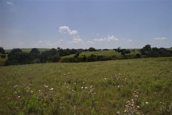 Rydell Ranch - field 2 - 2 mounds with 100' deep "red rock" canyons in between  visibility of up to 30 miles from the top of the mound Covered in mostly in eastern red cedar and some oak trees with native grasses. features slot canyons and waterfalls.  (7/28/2021 - Credits: Jeffrey Rydell)