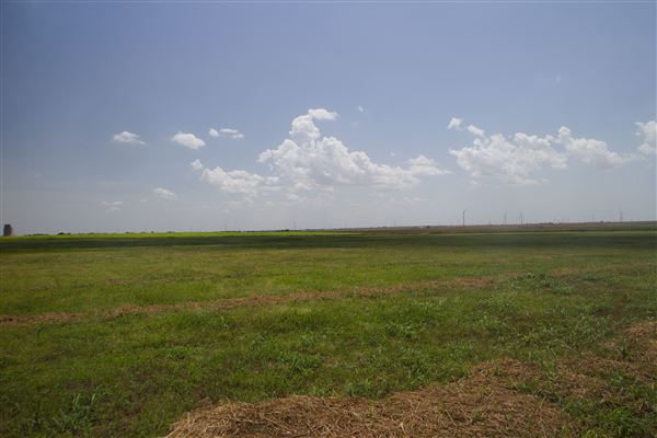 Rydell Ranch - field 4 - Clear cut rolling farmland with abandoned railroad grade. (7/28/2021 - Credits: Jeffrey Rydell)