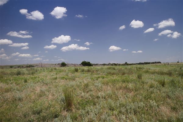 Rydell Ranch - field 6 Rolling farmland with deep canyons, large pond and  Covered in mostly in eastern red cedar and oak trees with native grasses. features slot canyons and waterfalls. (7/28/2021 - Credits: Jeffrey Rydell)