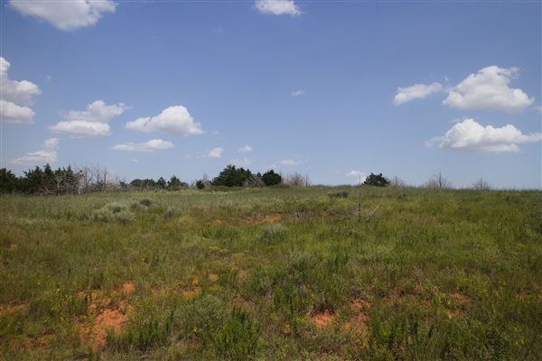 Rydell Ranch - field 6 Rolling farmland with deep canyons, large pond and  Covered in mostly in eastern red cedar and oak trees with native grasses. features slot canyons and waterfalls. (7/28/2021 - Credits: Jeffrey Rydell)