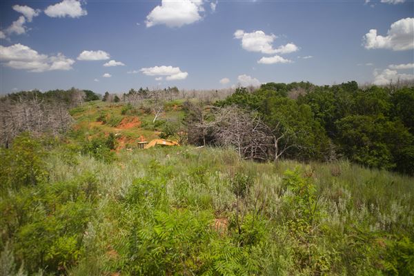 Rydell Ranch - field 6 Rolling farmland with deep canyons, large pond and  Covered in mostly in eastern red cedar and oak trees with native grasses. features slot canyons and waterfalls. (7/28/2021 - Credits: Jeffrey Rydell)