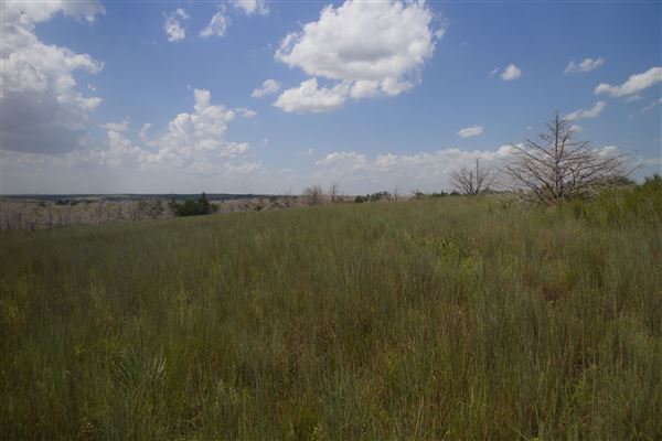 Rydell Ranch - field 6 Rolling farmland with deep canyons, large pond and  Covered in mostly in eastern red cedar and oak trees with native grasses. features slot canyons and waterfalls. (7/28/2021 - Credits: Jeffrey Rydell)