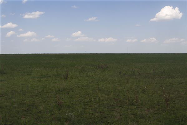 Rydell Ranch - field 7 - Clear cut rolling farmland with few trees. (7/28/2021 - Credits: Jeffrey Rydell)
