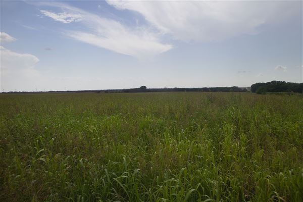 Rydell Ranch - field 8 - Clear cut rolling farmland with no trees and no fences and clear horizon (7/28/2021 - Credits: Jeffrey Rydell)