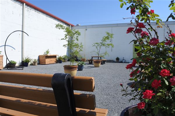 Lost Street Brewing Co. (6/19/2021 - Credits: Tyler Slawson)