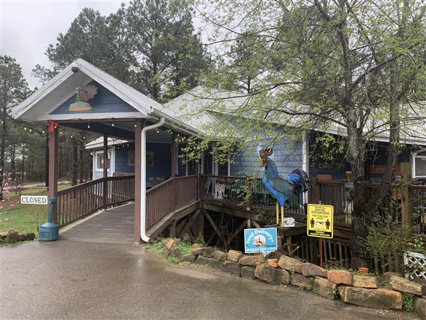 The Blue Rooster (3/22/2022 - Credits: Charity O'Donnell)