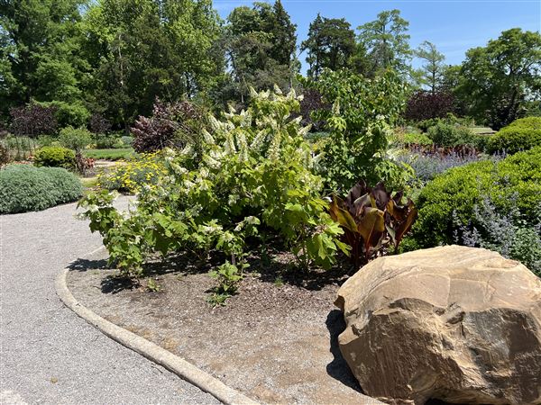 Will Rogers Gardens (5/14/2025 - Credits: Yousef Kazemi / OF+MO)