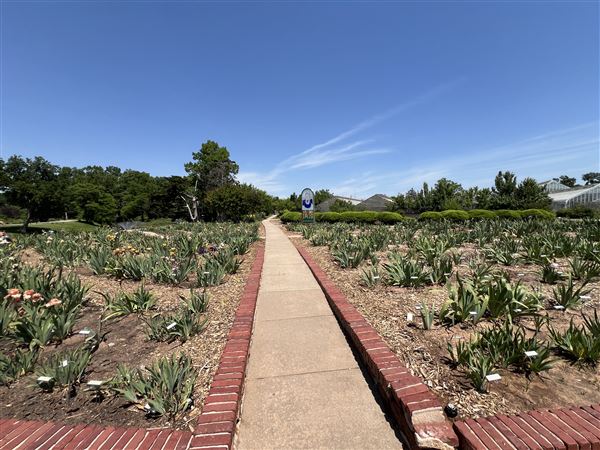 Will Rogers Gardens (5/14/2025 - Credits: Yousef Kazemi / OF+MO)