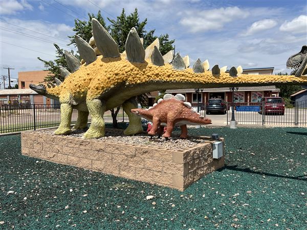 Dinosaur Photo Park (8/25/2023 - Credits: Yousef Kazemi / OF+MO)