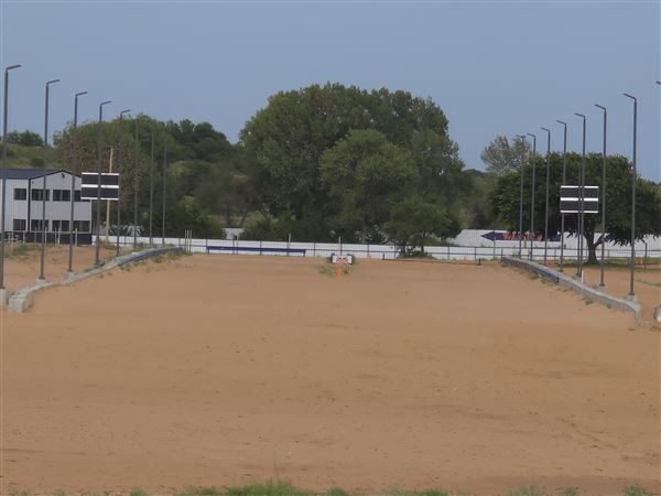 America's Oasis (7/7/2025)