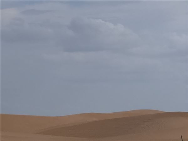 America's Oasis (7/7/2025)